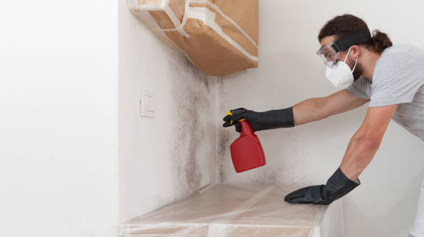 Professional Black Mold Remediation technician working in Mendham, NJ