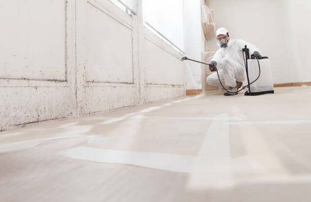 24/7 Emergency Black Mold Remediation experts in Mendham, NJ