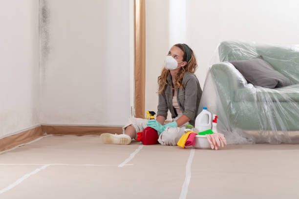 Reliable Black Mold Remediation contractor in Mendham, NJ by Mold Remediation HQ